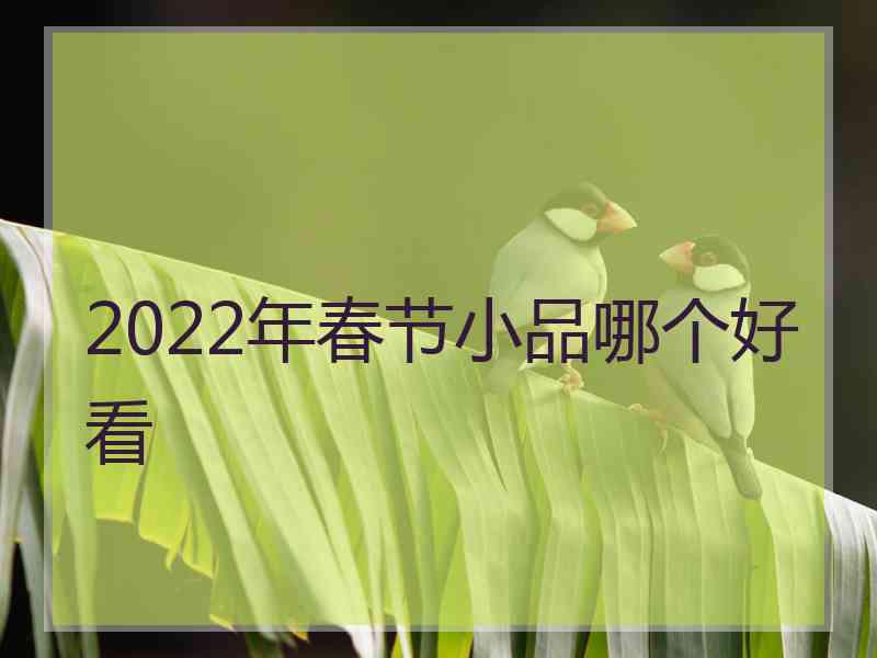 2022年春节小品哪个好看