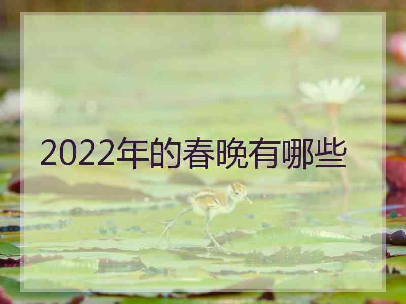 2022年的春晚有哪些