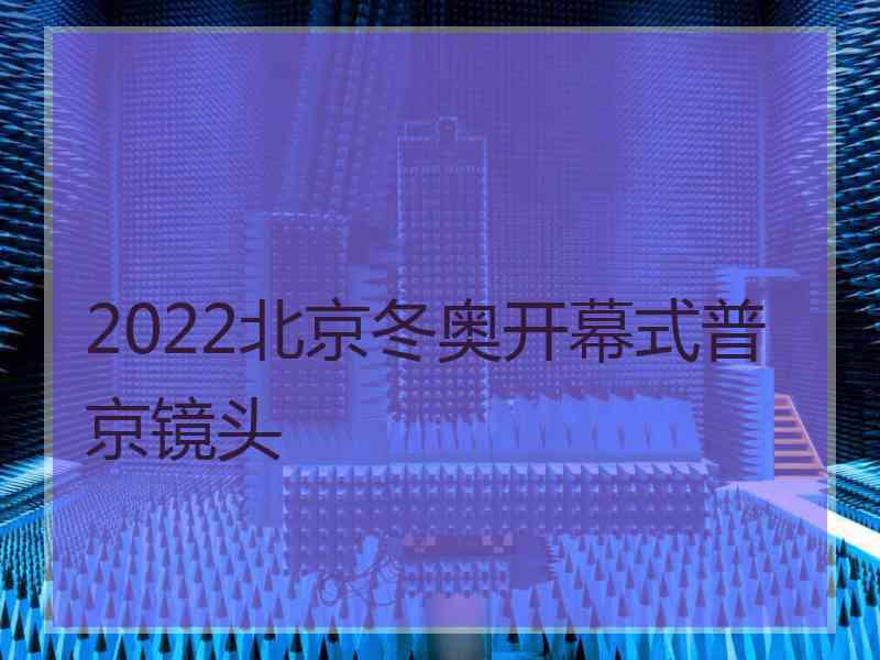 2022北京冬奥开幕式普京镜头