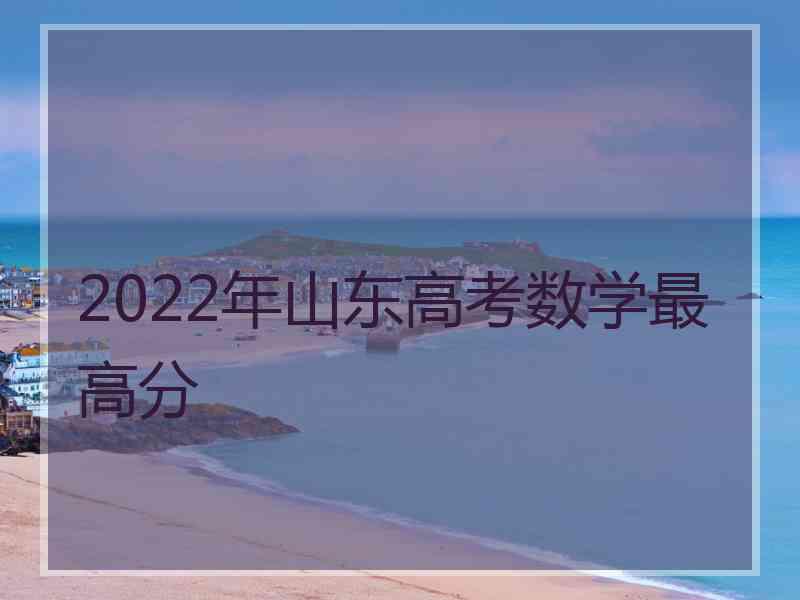 2022年山东高考数学最高分