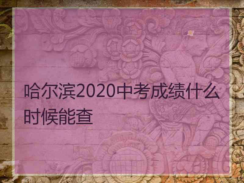 哈尔滨2020中考成绩什么时候能查