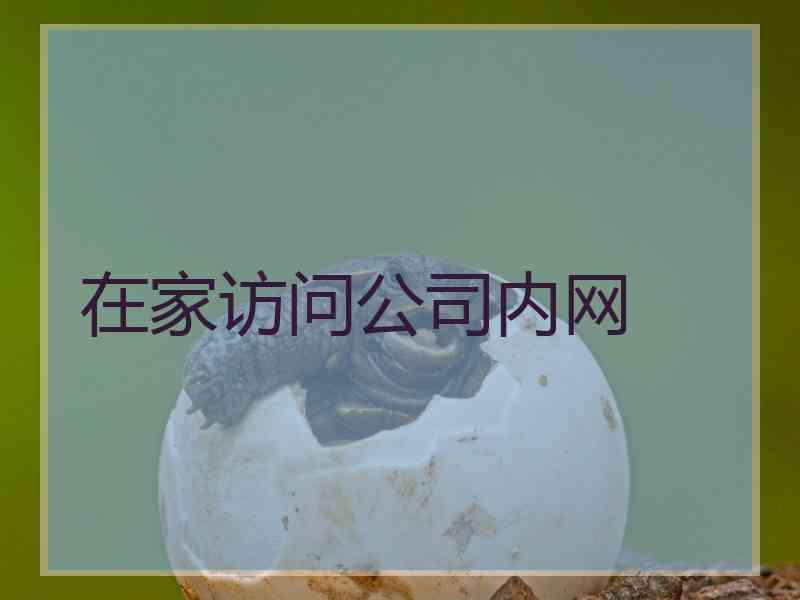 在家访问公司内网