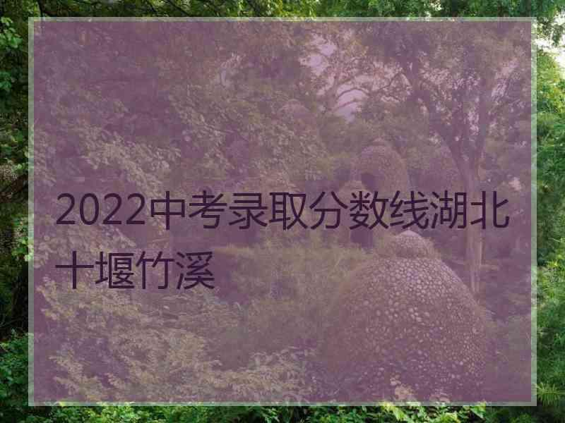 2022中考录取分数线湖北十堰竹溪