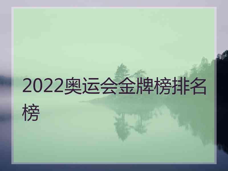 2022奥运会金牌榜排名榜