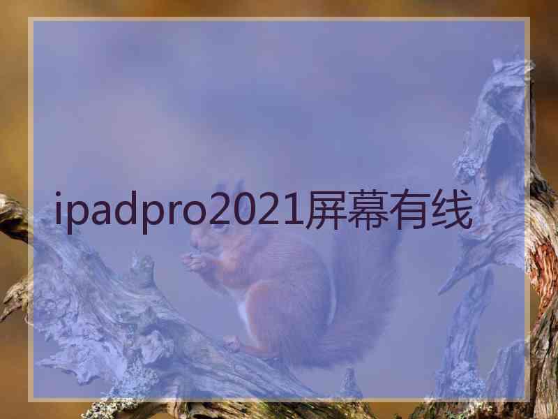 ipadpro2021屏幕有线