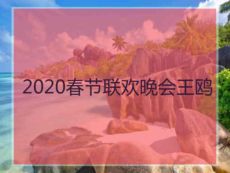 2020春节联欢晚会王鸥