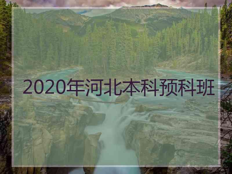 2020年河北本科预科班