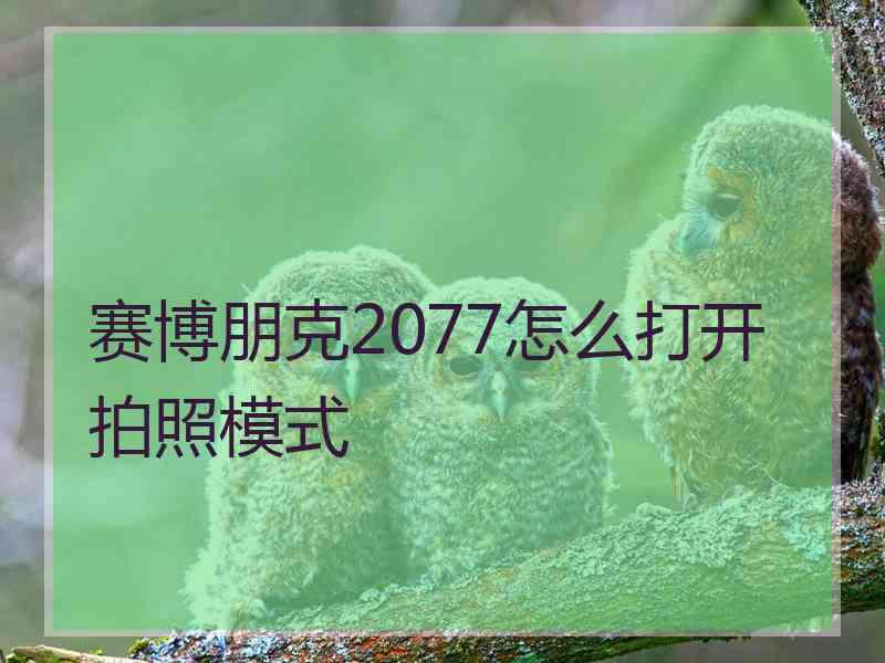 赛博朋克2077怎么打开拍照模式