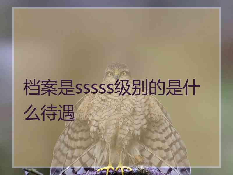 档案是sssss级别的是什么待遇