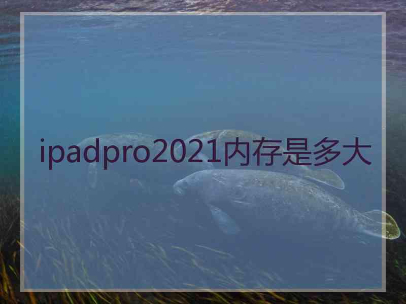 ipadpro2021内存是多大