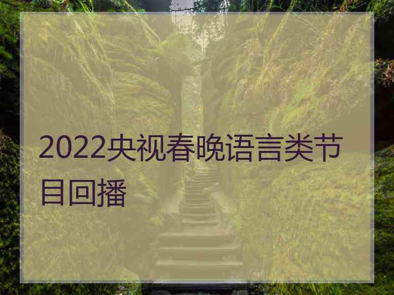 2022央视春晚语言类节目回播