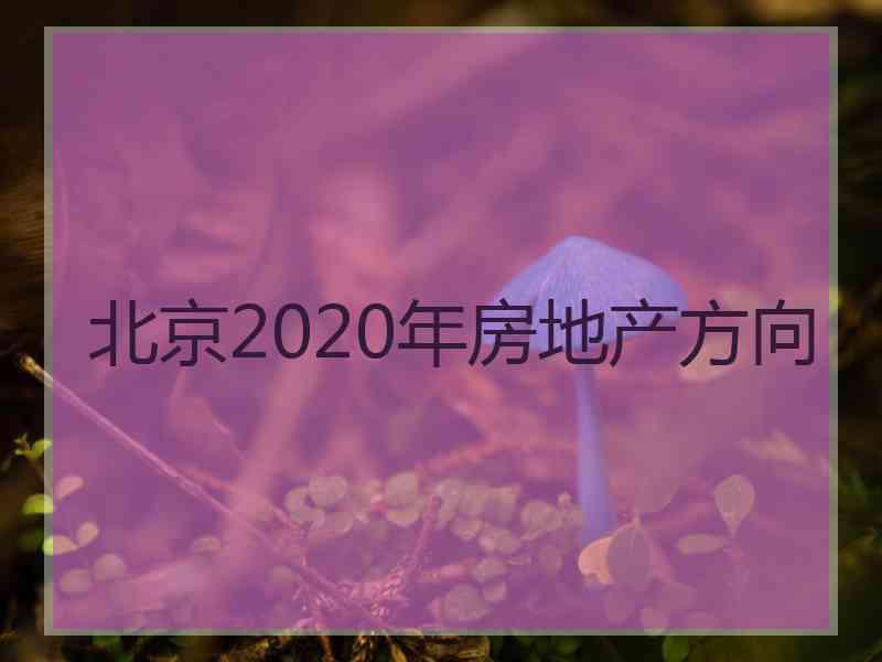 北京2020年房地产方向