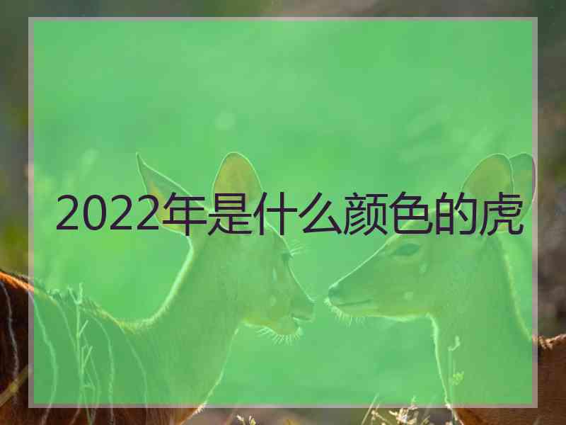 2022年是什么颜色的虎