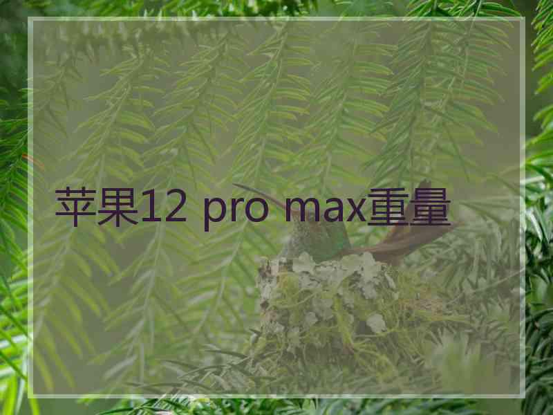 苹果12 pro max重量