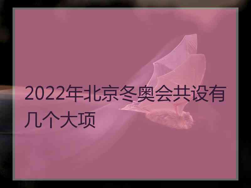 2022年北京冬奥会共设有几个大项