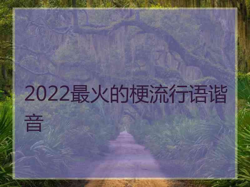 2022最火的梗流行语谐音