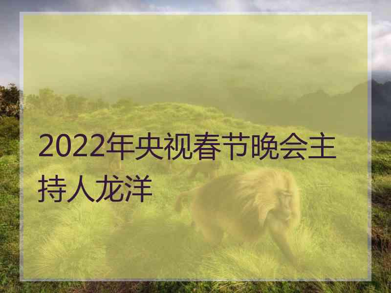 2022年央视春节晚会主持人龙洋