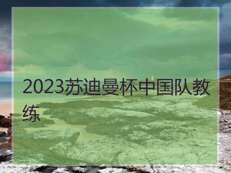 2023苏迪曼杯中国队教练