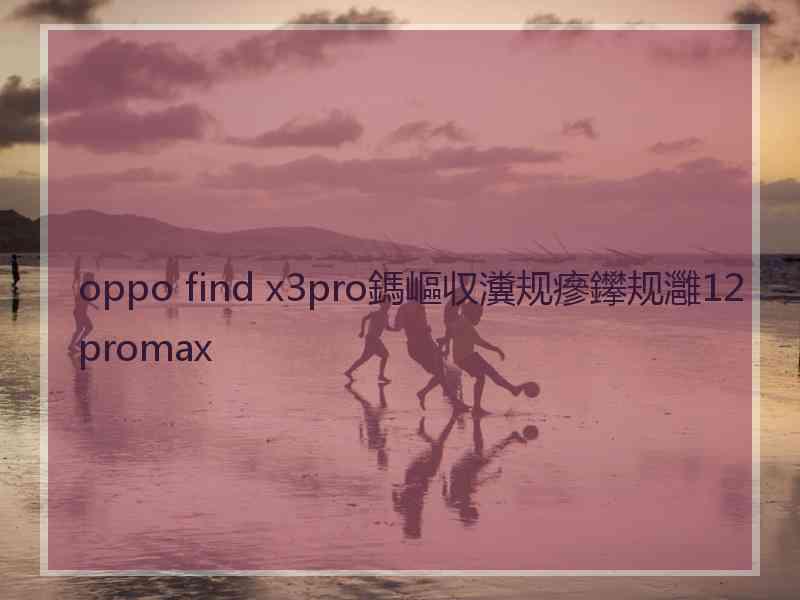 oppo find x3pro鎷嶇収瀵规瘮鑻规灉12promax