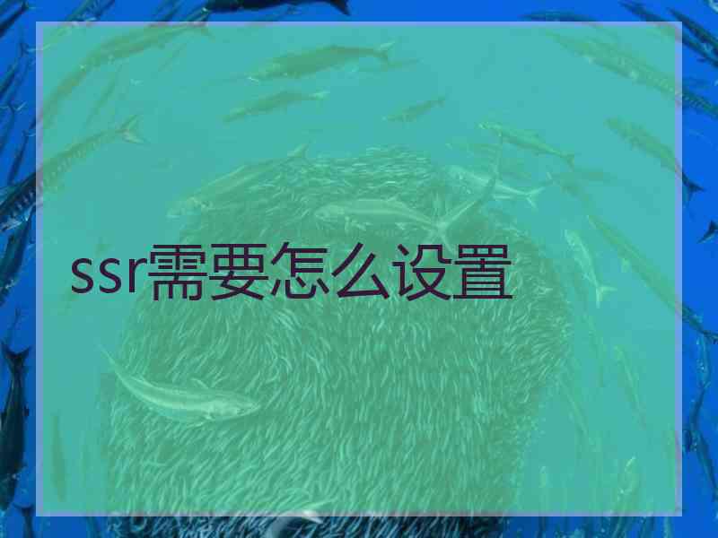 ssr需要怎么设置