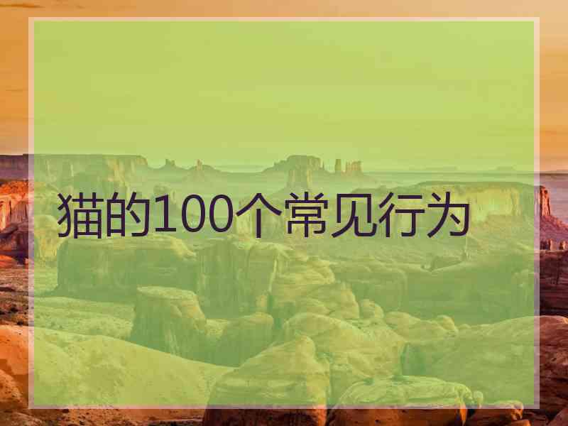 猫的100个常见行为