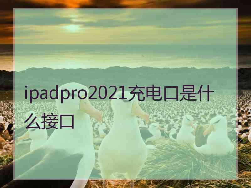 ipadpro2021充电口是什么接口