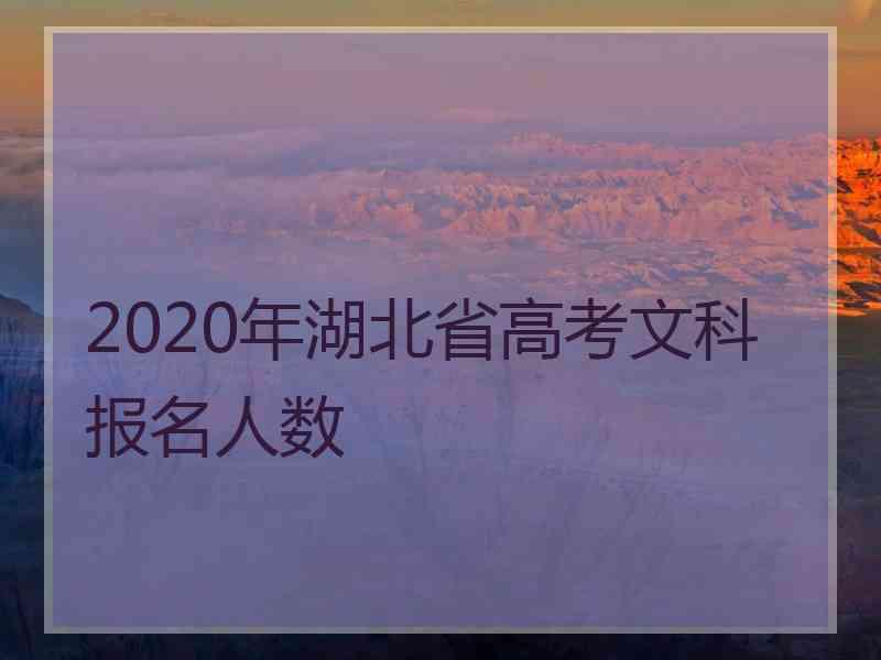 2020年湖北省高考文科报名人数