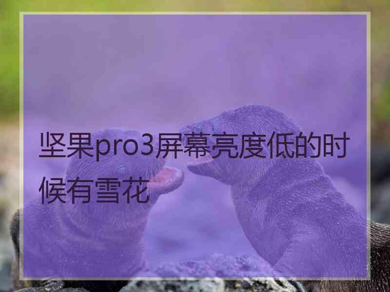 坚果pro3屏幕亮度低的时候有雪花