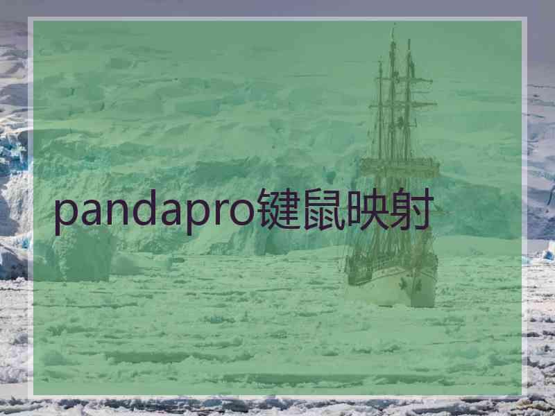 pandapro键鼠映射