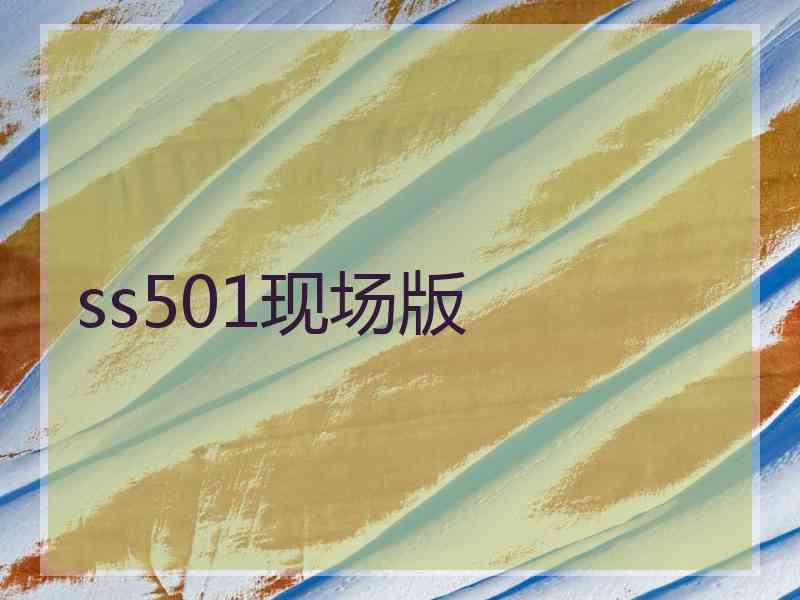 ss501现场版