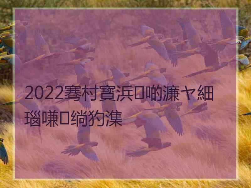 2022骞村寳浜啲濂ヤ細瑙嗛绱犳潗