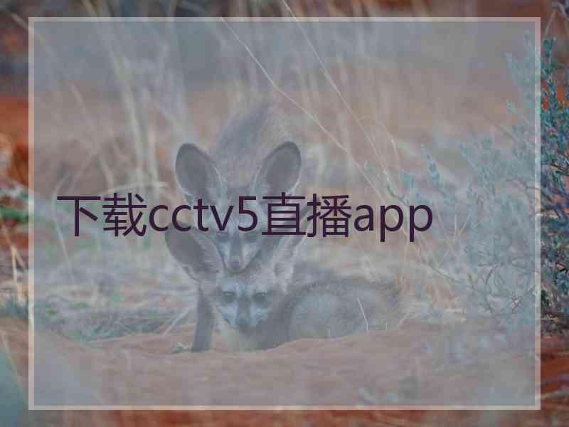 下载cctv5直播app