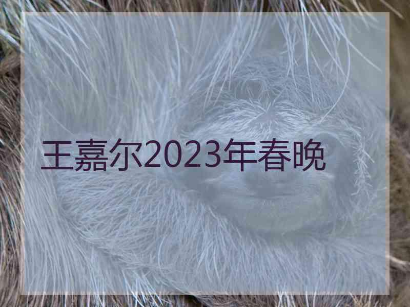 王嘉尔2023年春晚