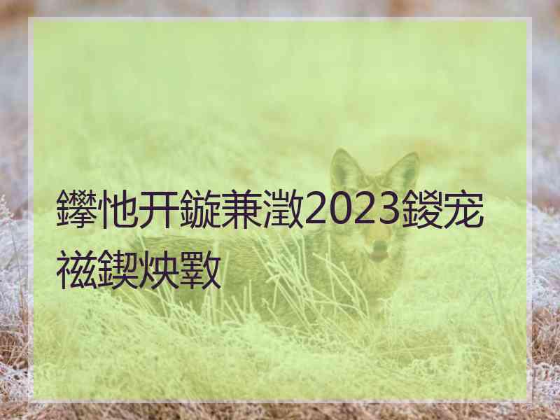 鑻忚开鏇兼澂2023鍐宠禌鍥炴斁