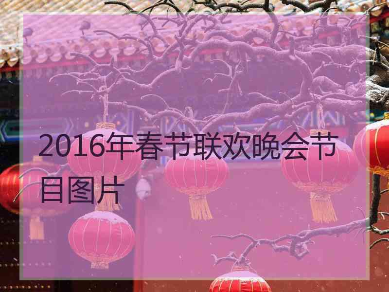 2016年春节联欢晚会节目图片