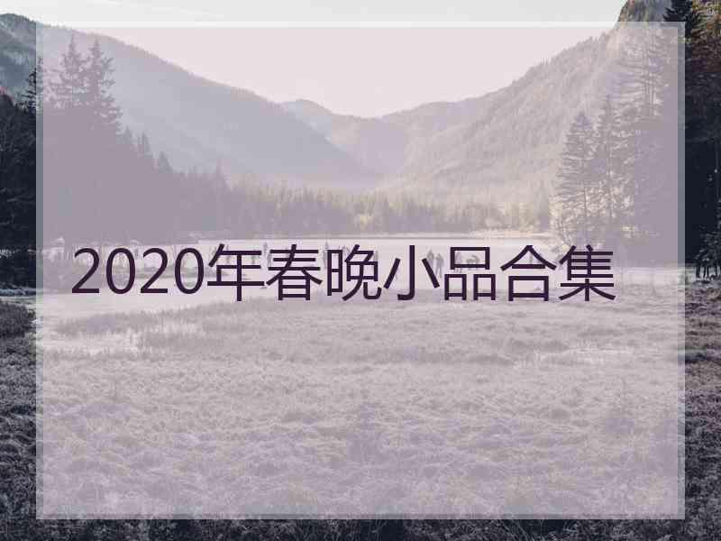 2020年春晚小品合集