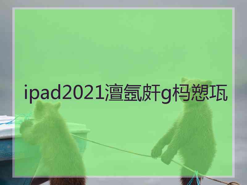 ipad2021澶氬皯g杩愬瓨