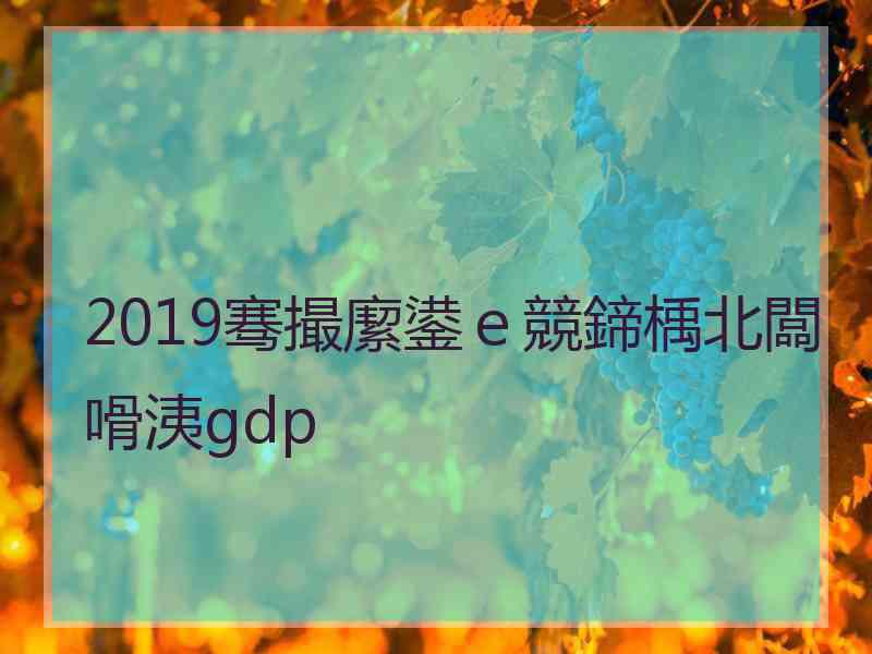 2019骞撮緳鍙ｅ競鍗楀北闆嗗洟gdp