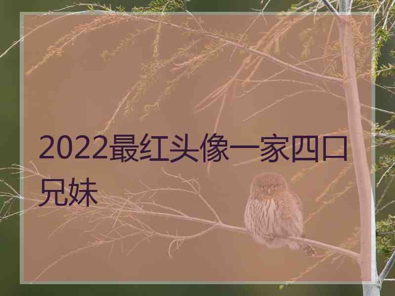 2022最红头像一家四口兄妹