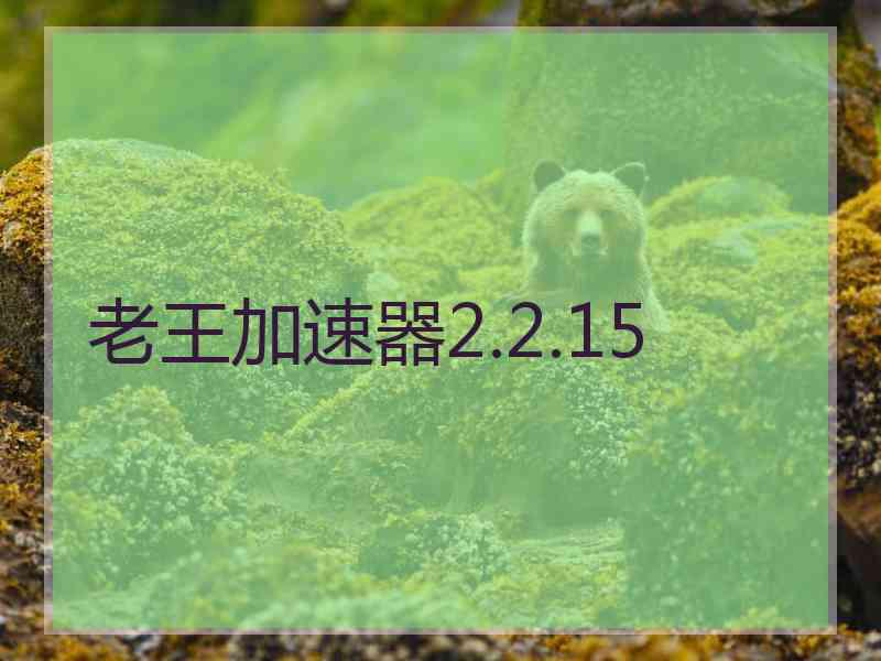 老王加速器2.2.15