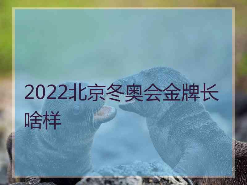 2022北京冬奥会金牌长啥样