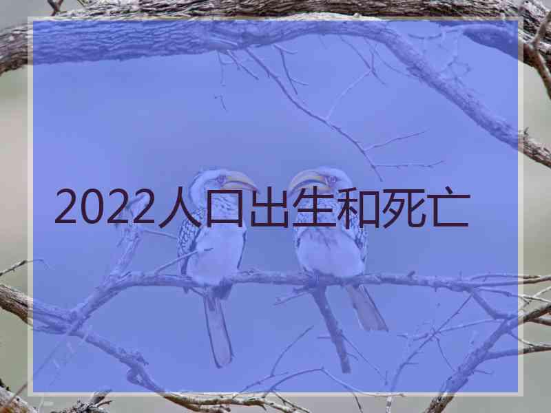 2022人口出生和死亡