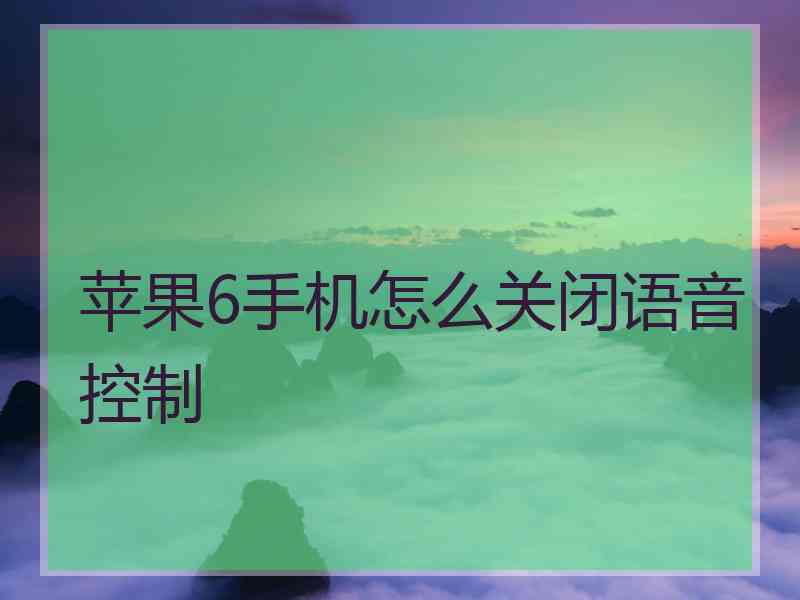 苹果6手机怎么关闭语音控制