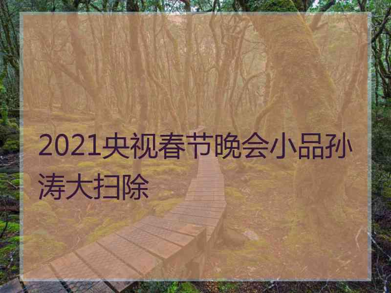 2021央视春节晚会小品孙涛大扫除