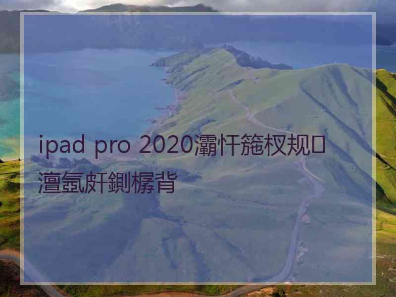 ipad pro 2020灞忓箷杈规澶氬皯鍘樼背