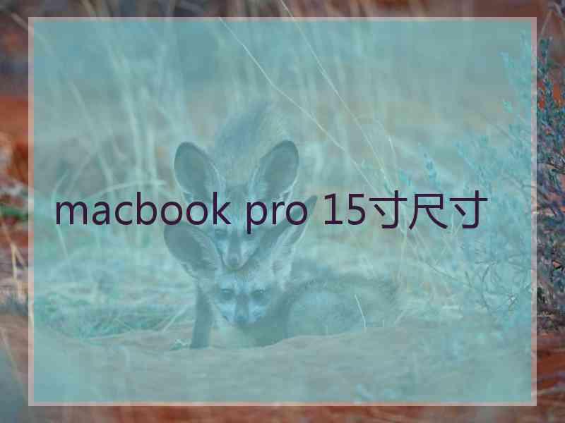 macbook pro 15寸尺寸