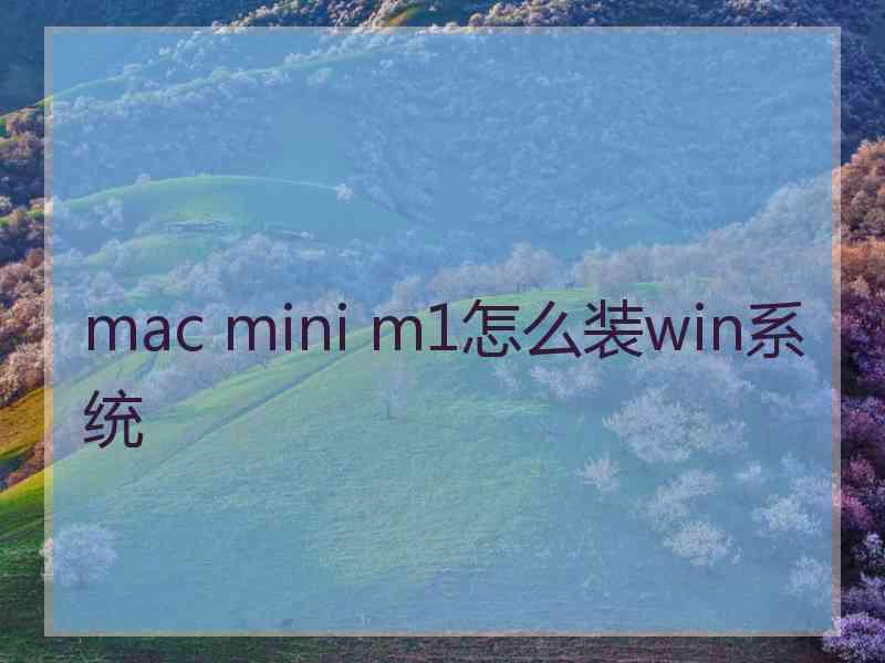 mac mini m1怎么装win系统