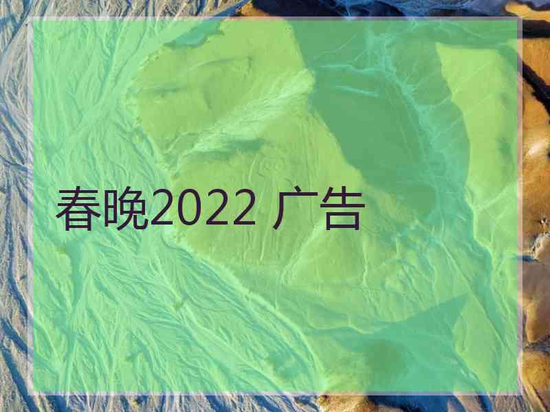 春晚2022 广告