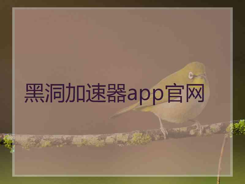 黑洞加速器app官网