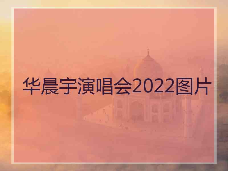 华晨宇演唱会2022图片